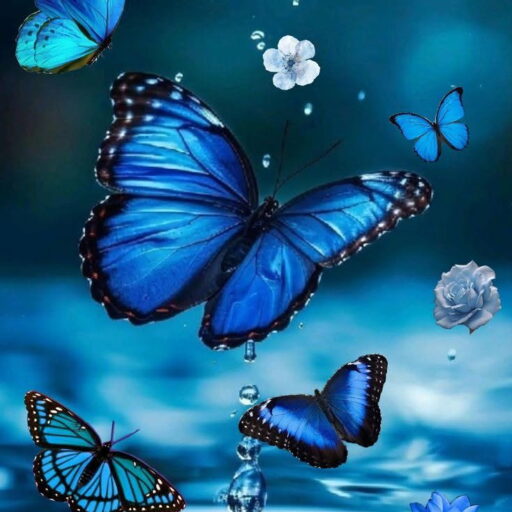 papillonbleubienetre.fr